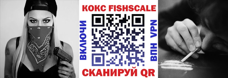 Кокаин Fish Scale  закладки  Заволжье 