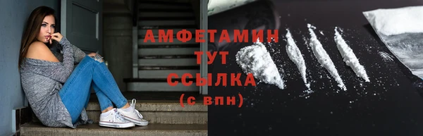 хмурый Абаза